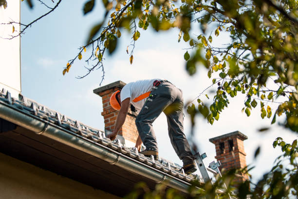 Best Emergency Roof Repair  in Hartington, NE
