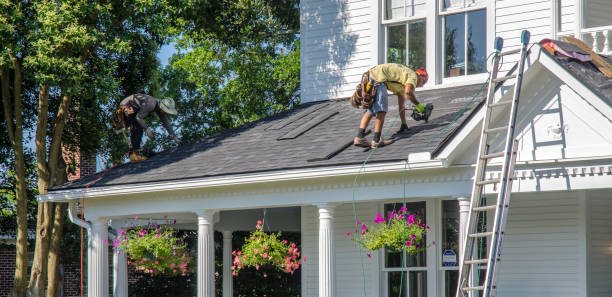 Best Roof Gutter Cleaning  in Hartington, NE